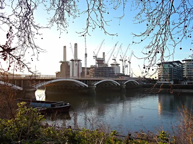 In the foreground of this image, there are plants on the bottom and trees on the top. In the...