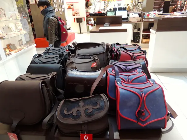 In this image there are few bags a person standing wearing bag , at the left there are few...